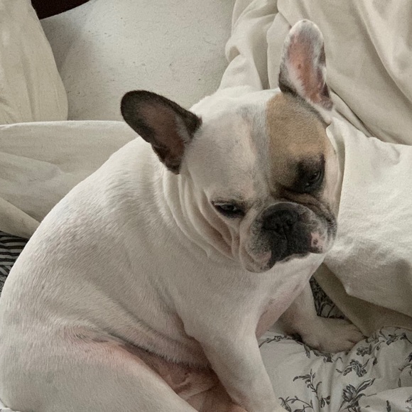 Meet your Posher, Tammy - Picture 7 of 8